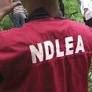 NDLEA ta kama tarin ƙwayoyi da ake shirin safararsu zuwa Birtaniya ndlea