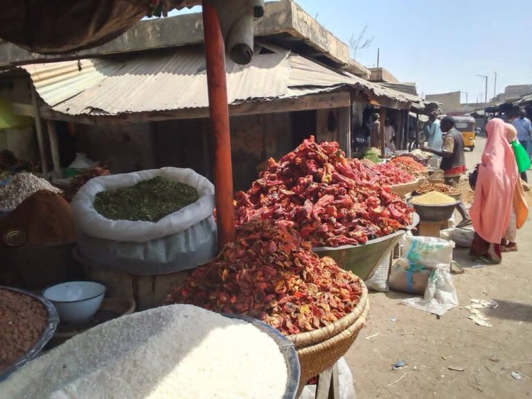 FB IMG 1770849624495