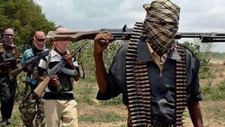 pztktkpTURBXy8yNTQxNmNmNzMyMDY2OTNjYjJmZDE4YjBhNjQ3Yzg4YS5qcGeSlQMAAM0CCM0BJZMFzQKAzQFA