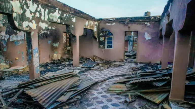 5f17842f 5088 4c49 9895 0a43b11f9e5c.jpg