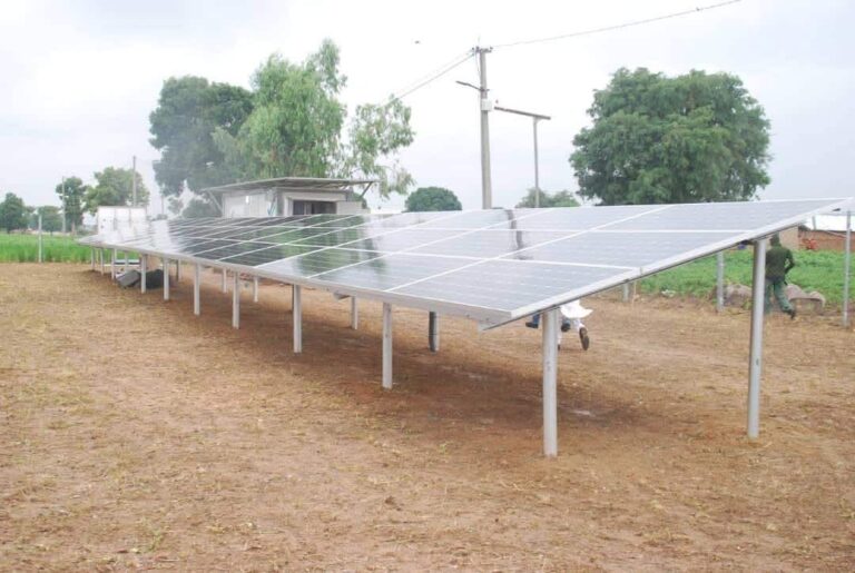 FB IMG 1773460183395