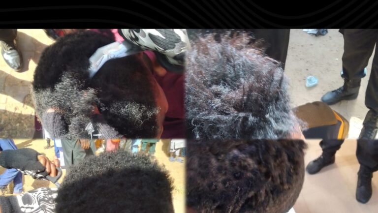 IMG 20260324 000928 565