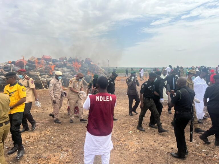 NDLEA Ta Kone Tan 12.2 Na Miyagun Ƙwayoyi a Kano, Ta Kama Mutum Kano NDLEA Destroy 12.2 Tonnes of Illicit Drugs Intensify Anti Drug Campaign 768x576